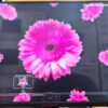 Moniteur MAGMA 27 MG270FC-100HZ FHD_IPS