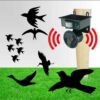 Répulsif à ultrasons pour oiseaux et animaux Répulsif à ultrasons pour oiseaux et animaux
