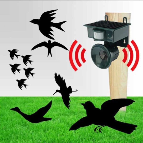 Répulsif à ultrasons pour oiseaux et animaux Répulsif à ultrasons pour oiseaux et animaux