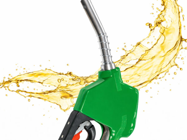 Fuel dispensing nozzle Fuel dispensing nozzle