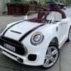 Mini Cooper DLS06 Mini Cooper DLS06