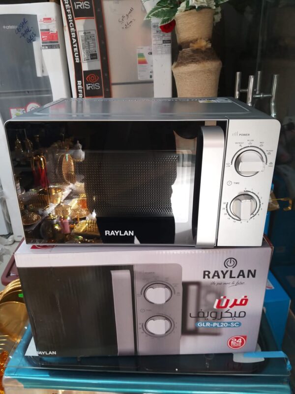 microonde RAYLAN 20L microonde RAYLAN 20L